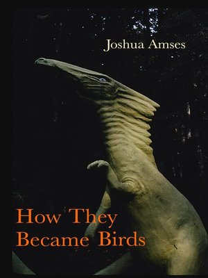 cover image of How They Became Birds